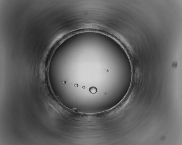 X0000103321067200809051142