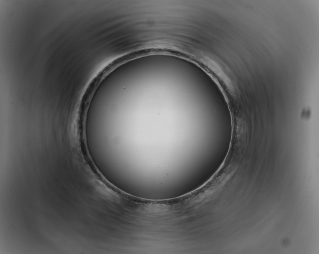 X0000103321068200809051142