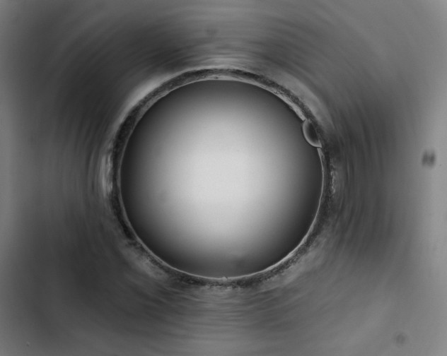 X0000103321069200809051142