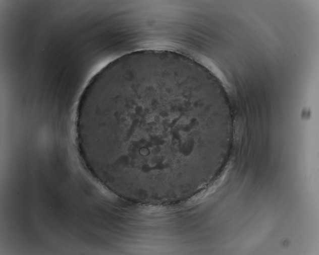 X0000103321071200809051142