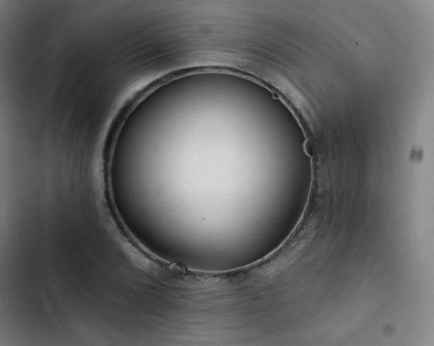X0000103321072200809051142