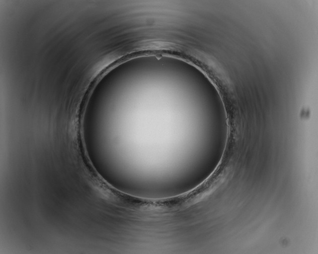 X0000103321073200809051142