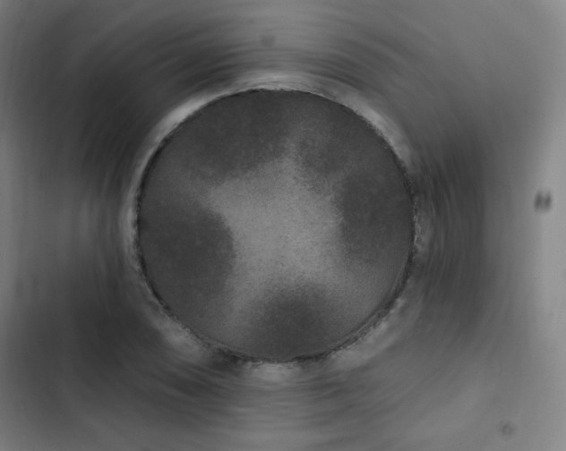 X0000103321074200809051142