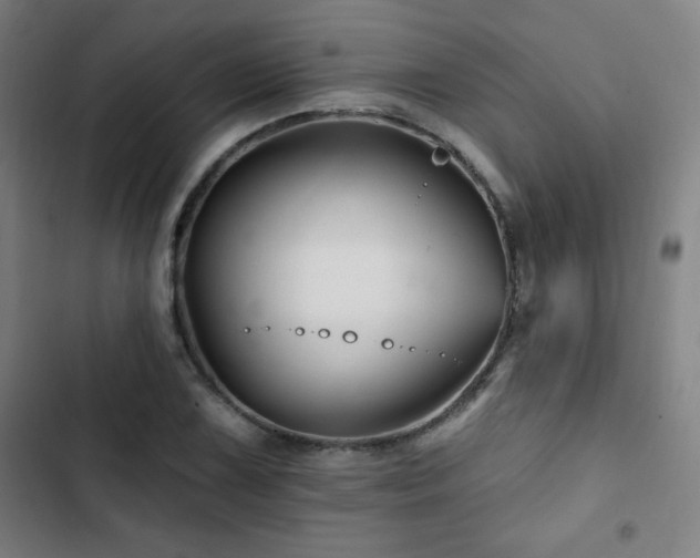 X0000103321075200809051142