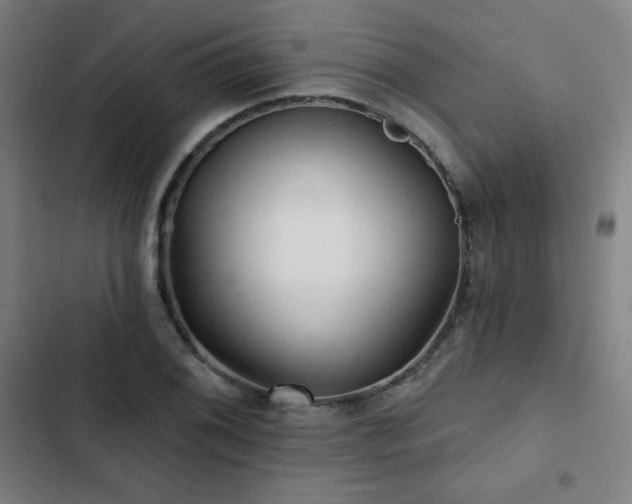 X0000103321076200809051142