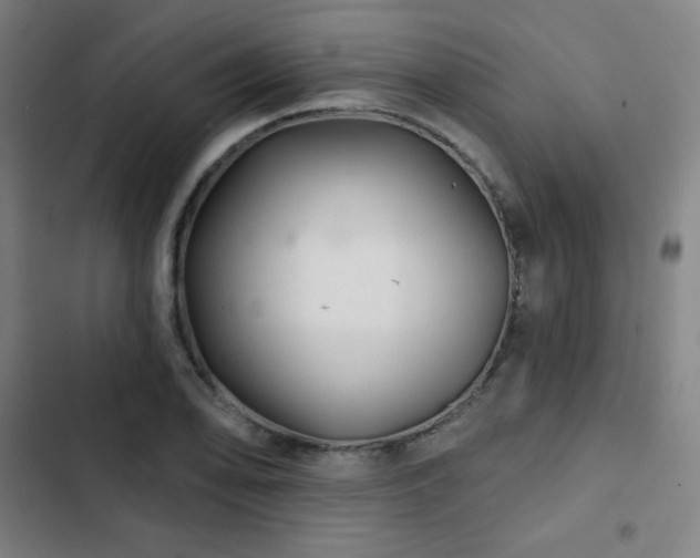 X0000103321078200809051142