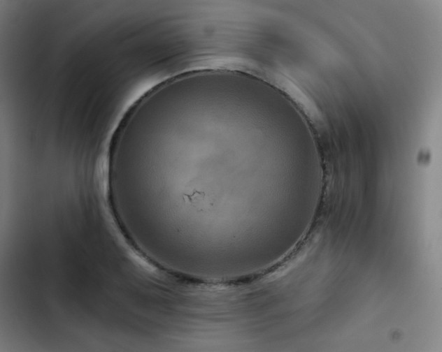 X0000103321079200809051142