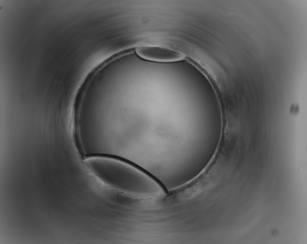 X0000103321080200809051142