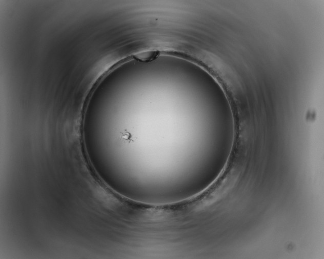 X0000103321081200809051142