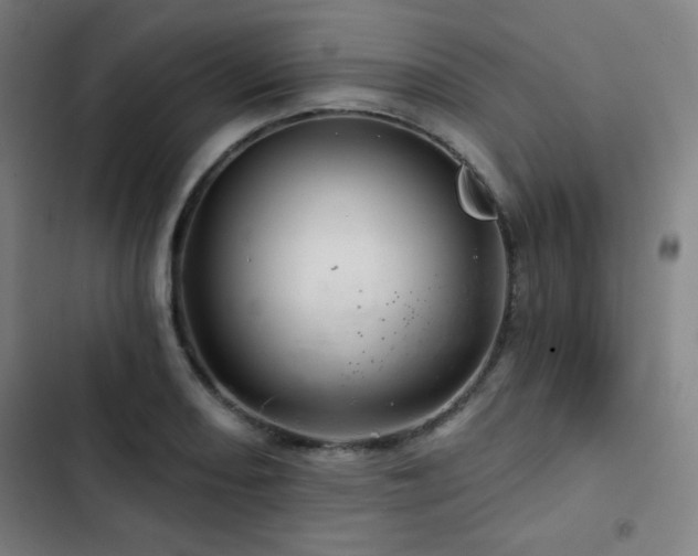 X0000103321082200809051141