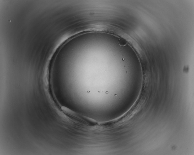 X0000103321083200809051141