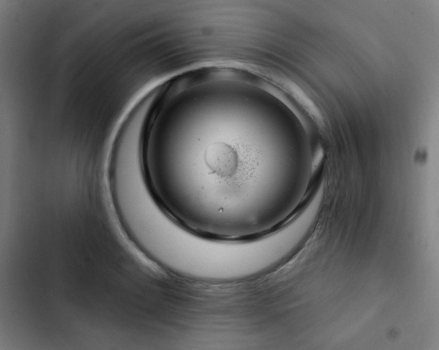 X0000103321084200809051141