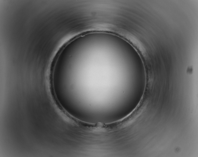 X0000103321085200809051141