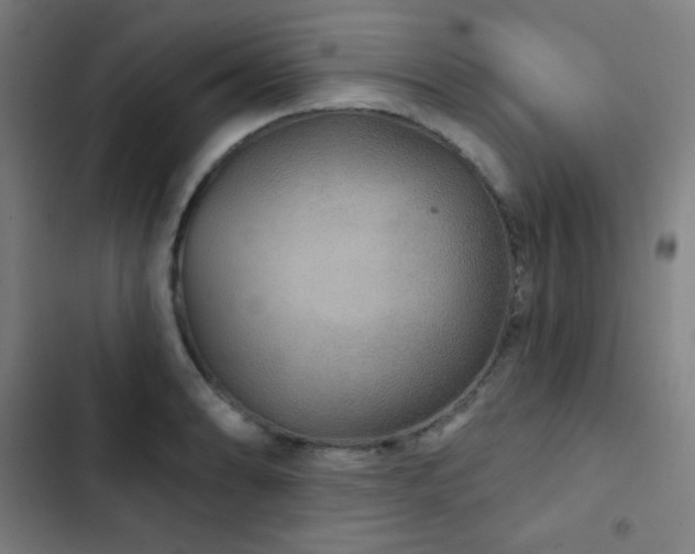 X0000103321086200809051141