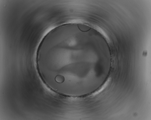 X0000103321087200809051141
