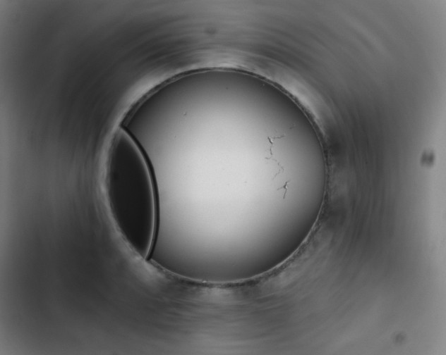 X0000103321088200809051141