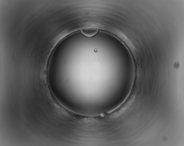 X0000103321089200809051141