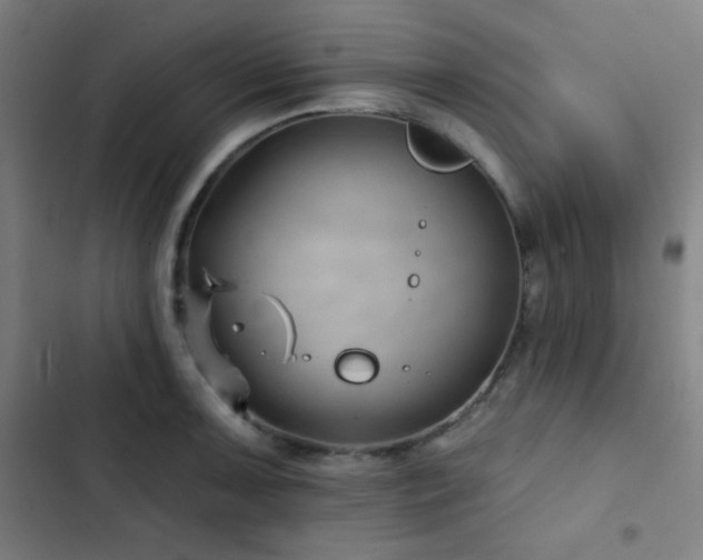 X0000103321091200809051141
