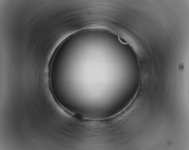 X0000103321092200809051141