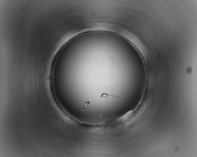 X0000103321093200809051141