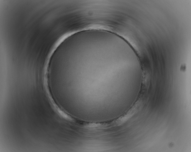 X0000103321094200809051141