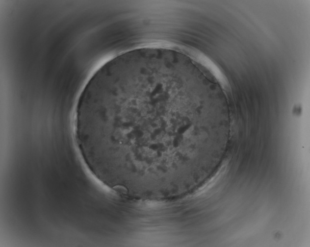 X0000103321095200809051141