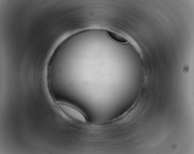 X0000103321096200809051141