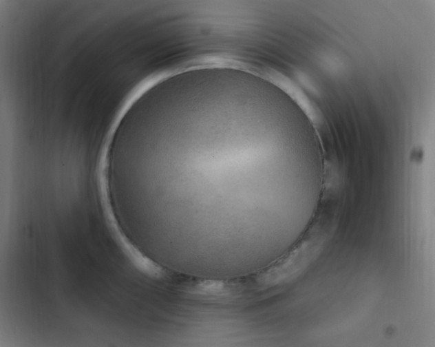 X0000103321098200809051141