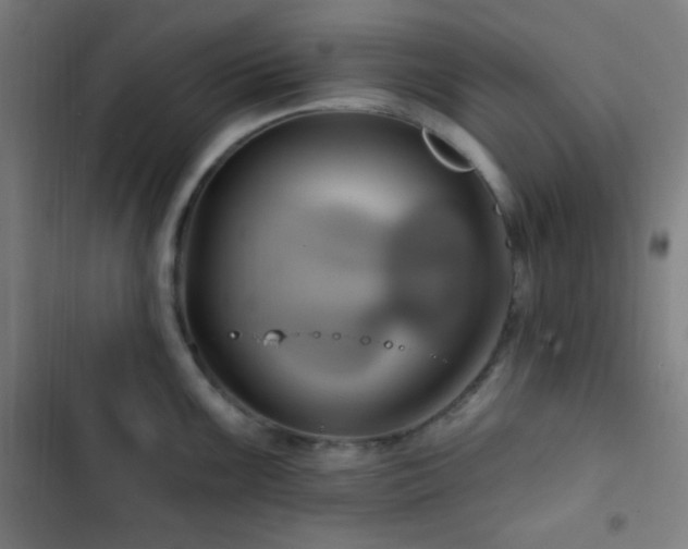 X0000103321099200809051141