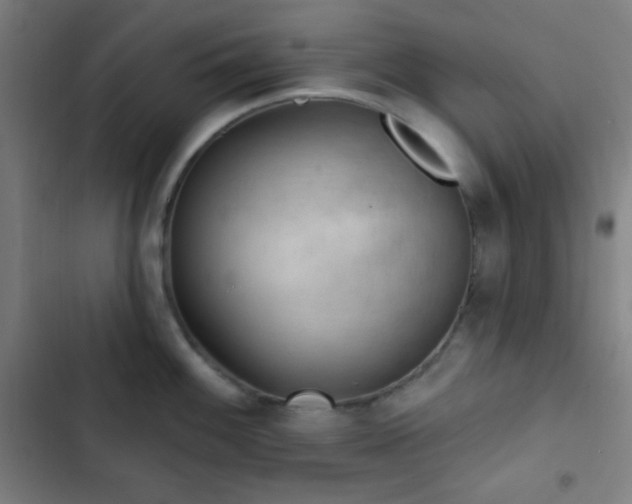 X0000103321100200809051141