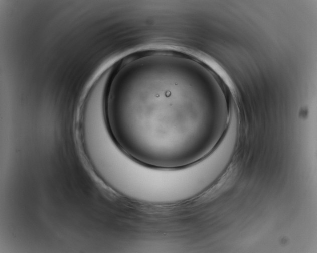 X0000103321101200809051141
