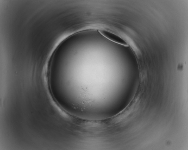 X0000103321103200809051141