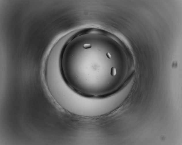 X0000103321104200809051141