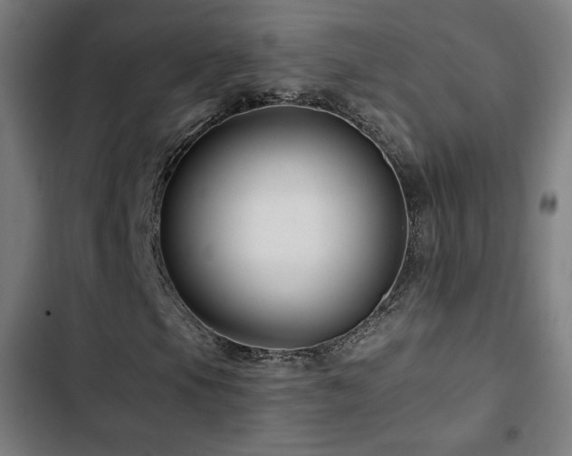 X0000103321105200809051140