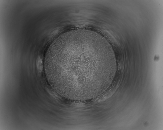 X0000103321106200809051140