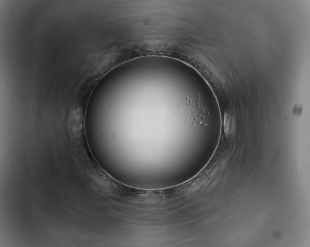 X0000103321107200809051140