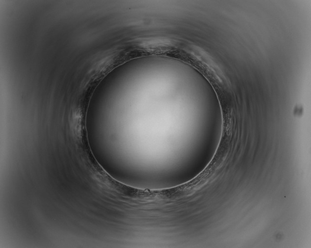 X0000103321108200809051140