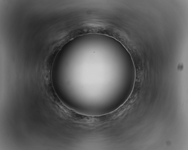 X0000103321109200809051140