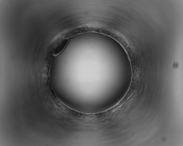 X0000103321110200809051140