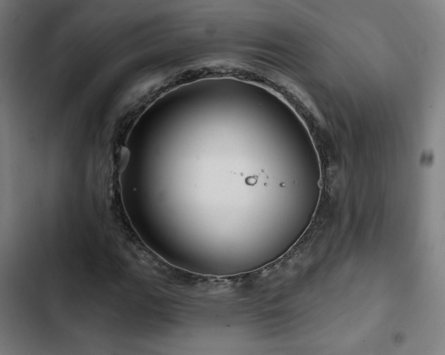 X0000103321111200809051141