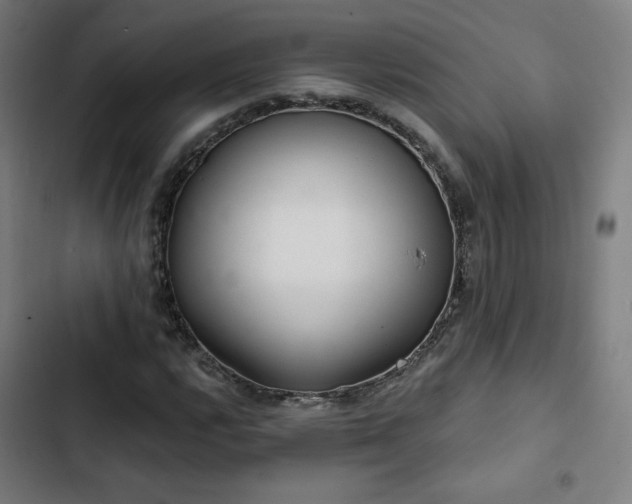 X0000103321112200809051141