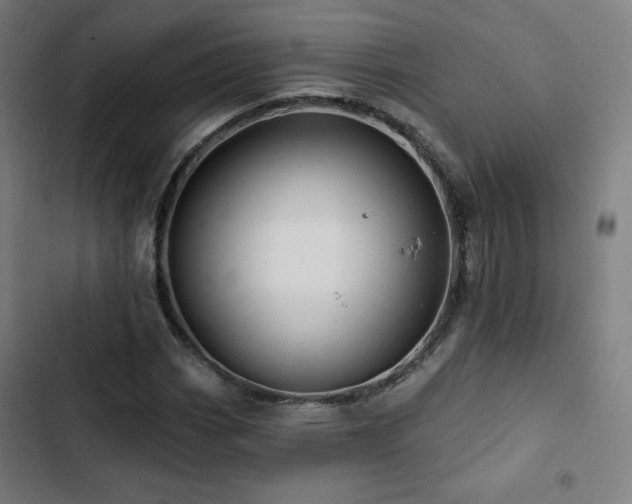 X0000103321113200809051141