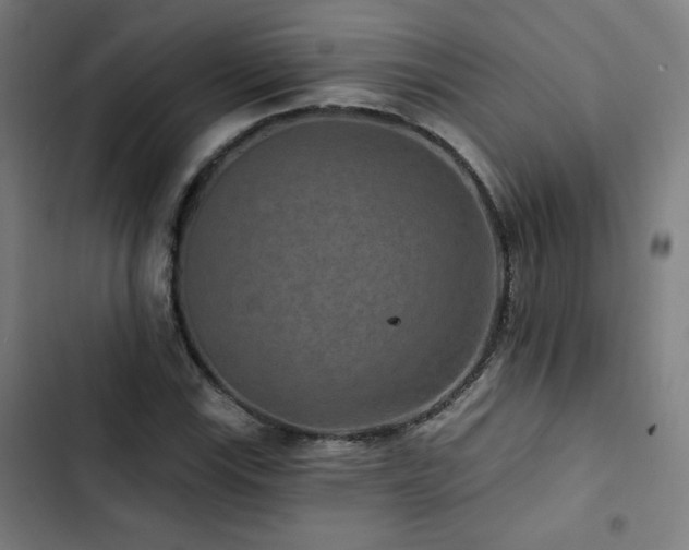 X0000103321115200809051141