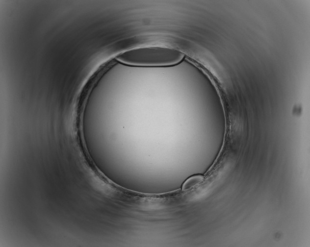 X0000103321116200809051141