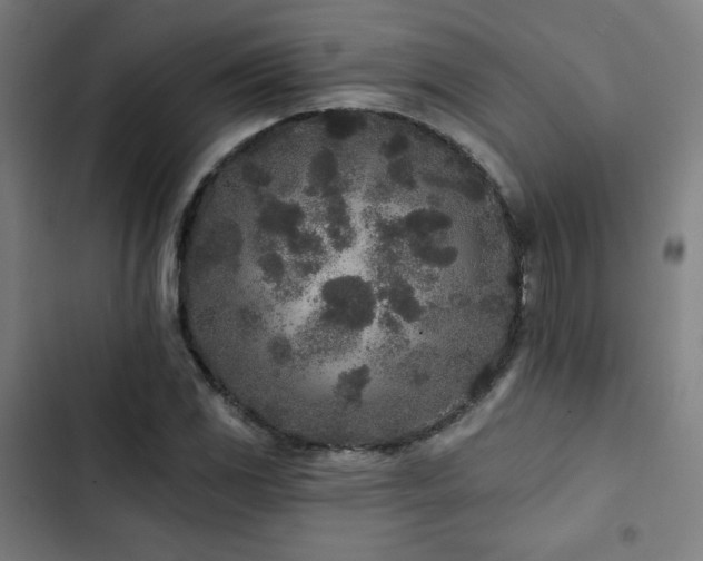 X0000103321117200809051141