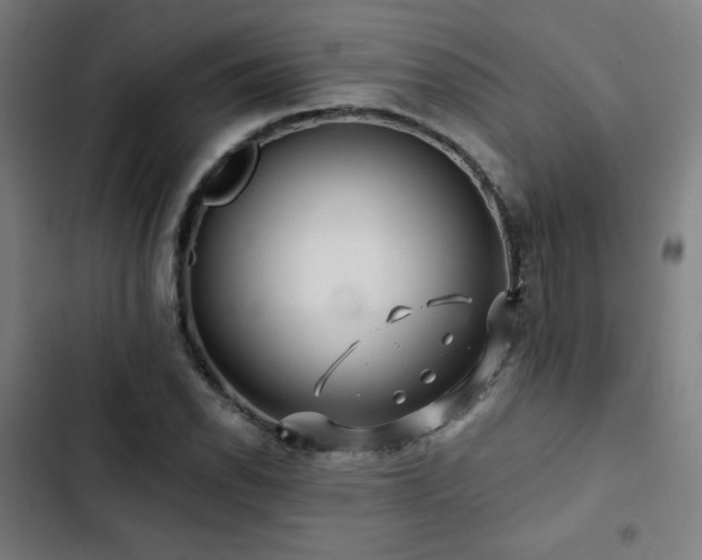 X0000103321118200809051141