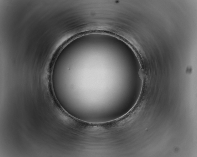 X0000103321119200809051141