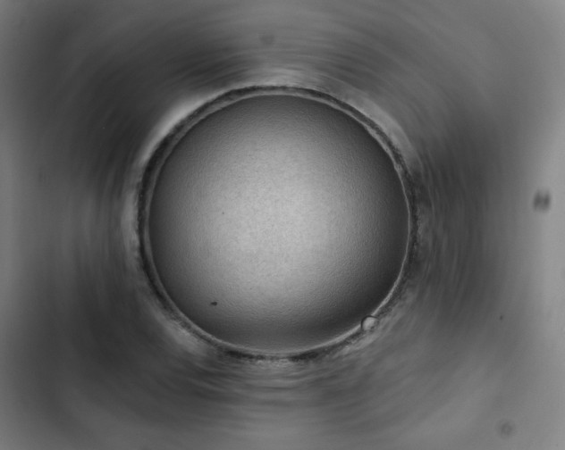 X0000103321120200809051141