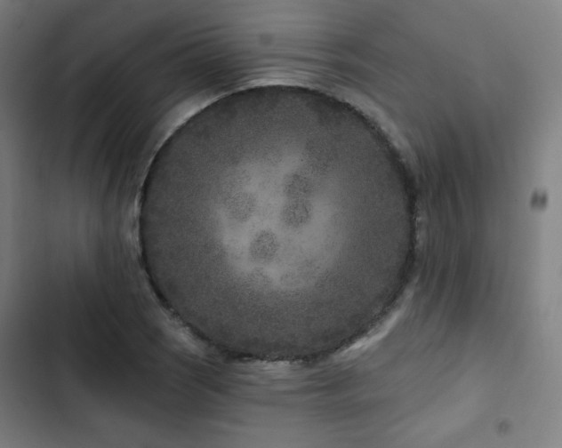 X0000103321121200809051141