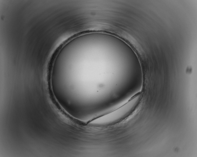 X0000103321122200809051141
